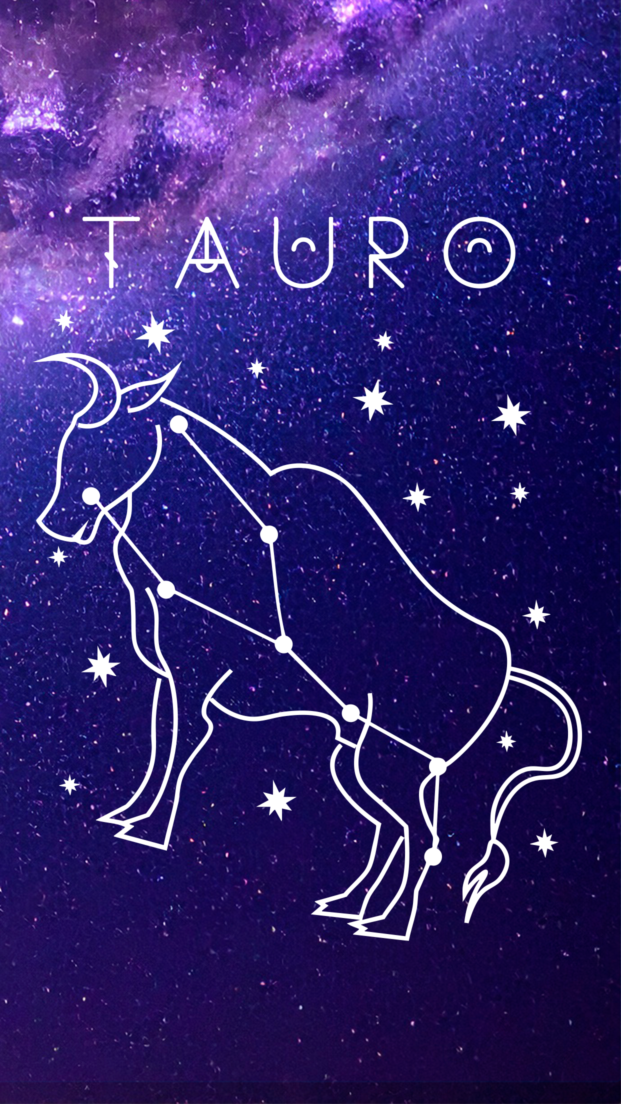 Sudadera Tauro