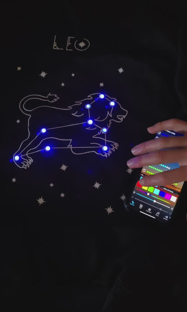 Sudadera Géminis
