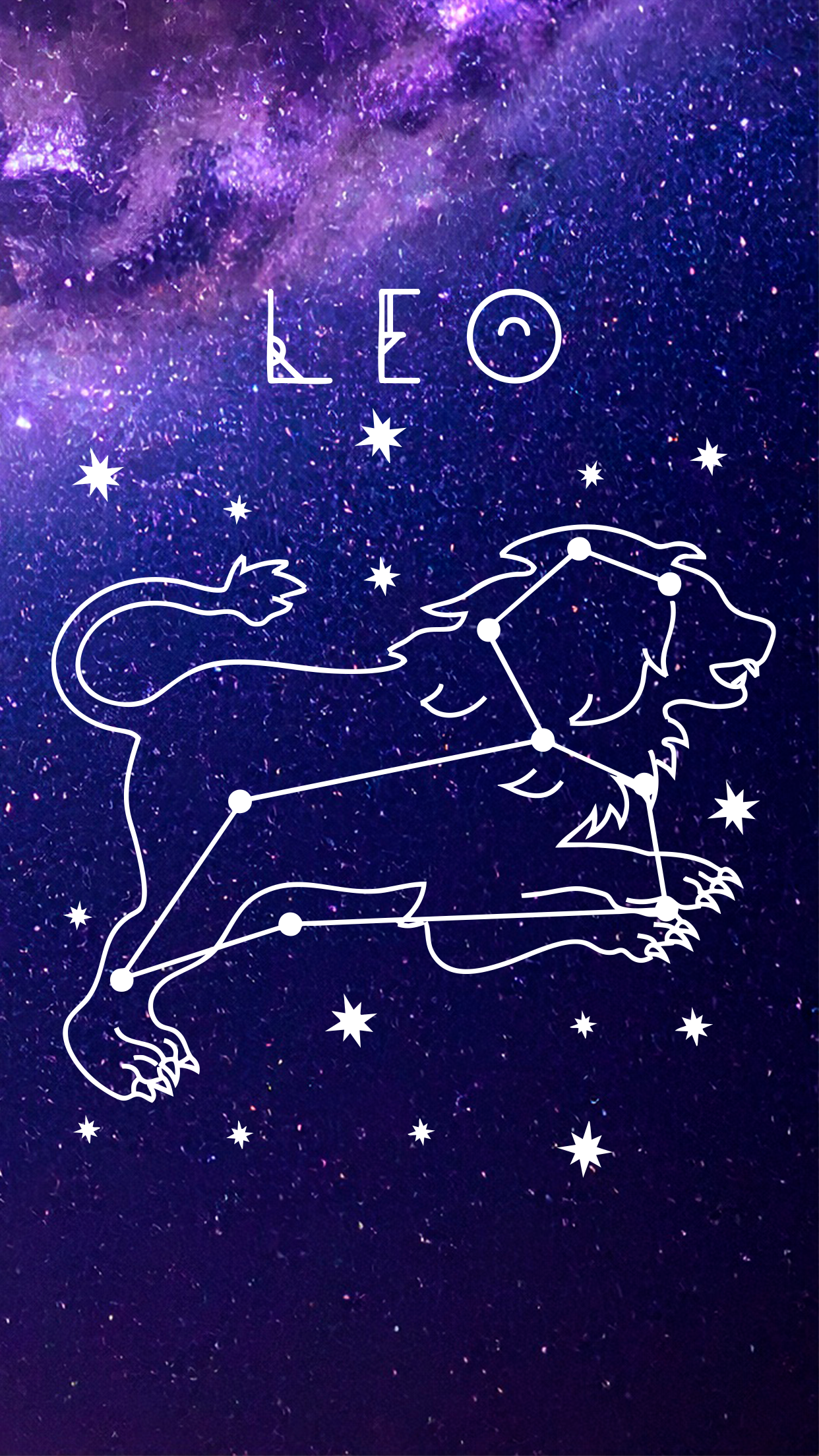 Sudadera Leo