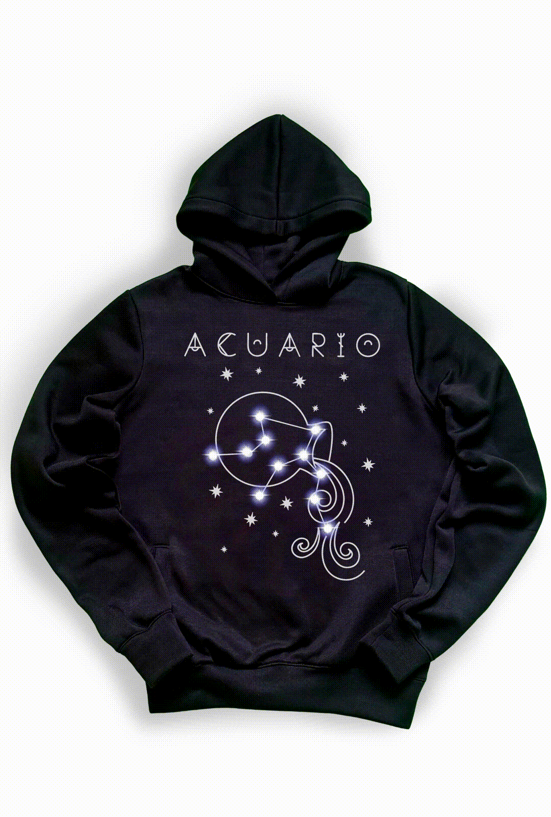 Sudadera  Acuario